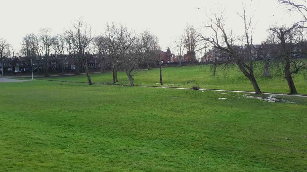 Spring in Potternewton Park in Chapeltown, Leeds